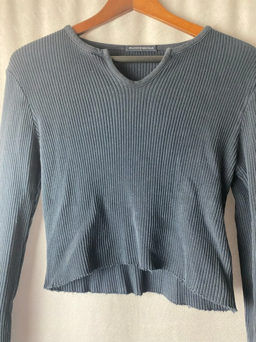 Brandy Melville Y2K Ribbed Long-Sleeve Crop Top in Slate Blue 0-4 OS